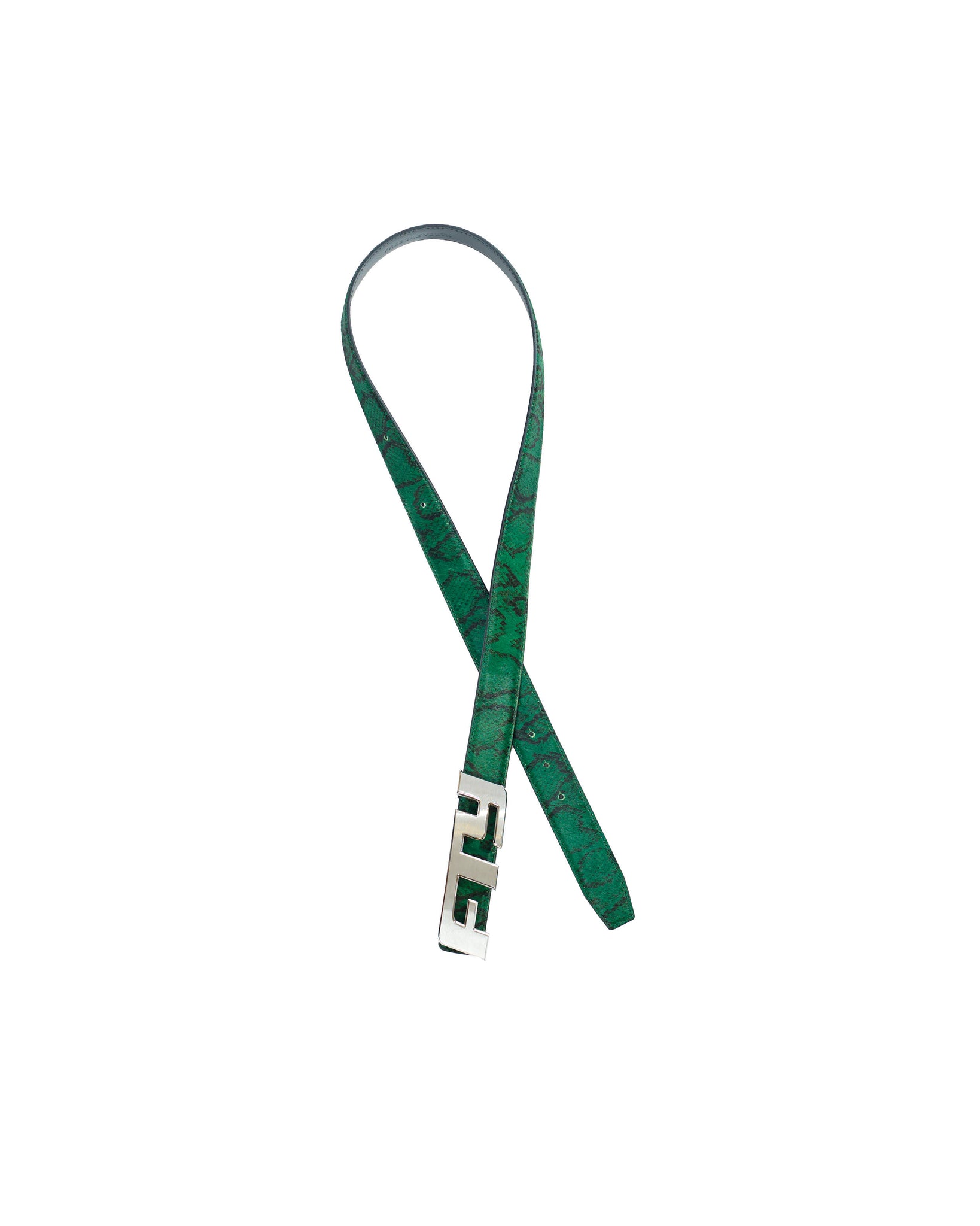 FTY LOGO BELT - GREEN / SNAKE PRINT